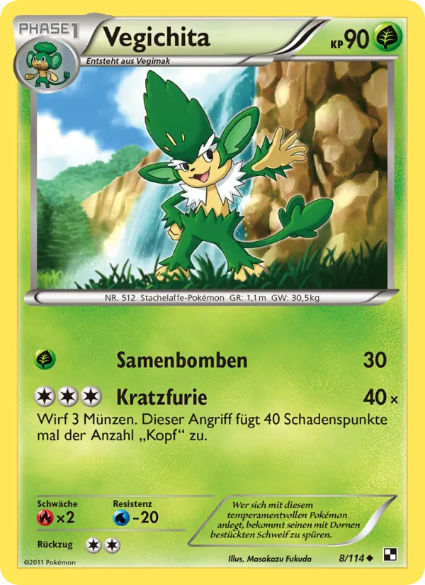 Vegichita 8/114