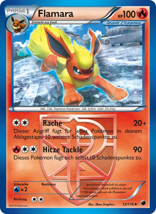 Flamara 12/116