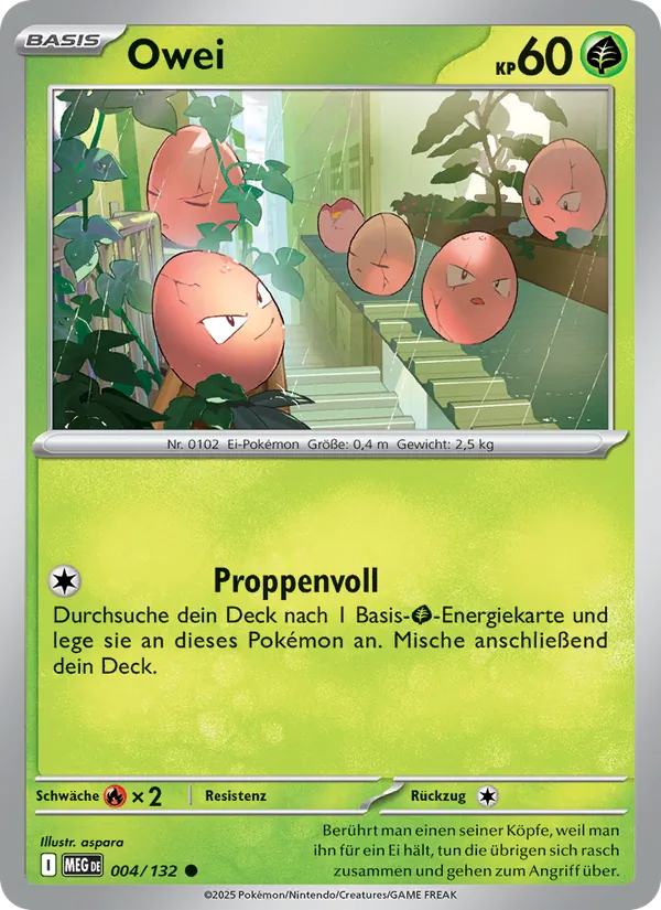 Owei 004/132