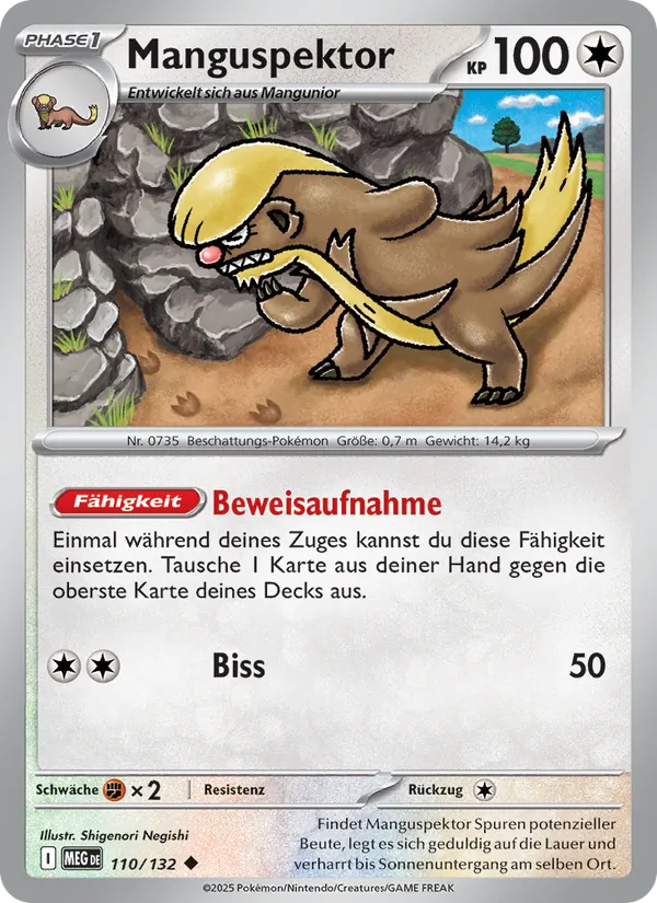 Manguspektor 110/132
