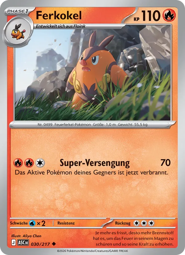 Ferkokel 030/217