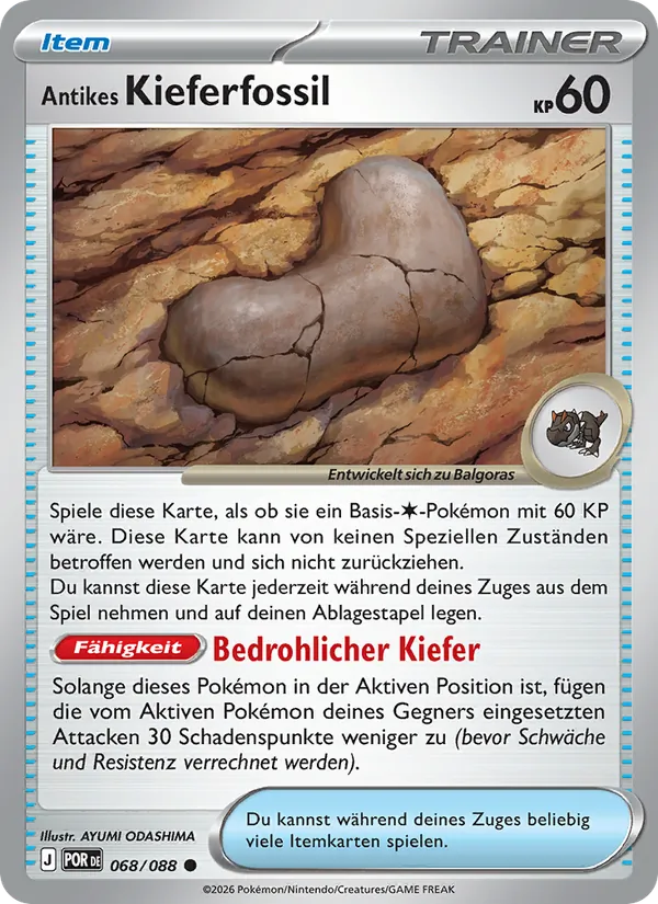 Antikes Kieferfossil 068/088