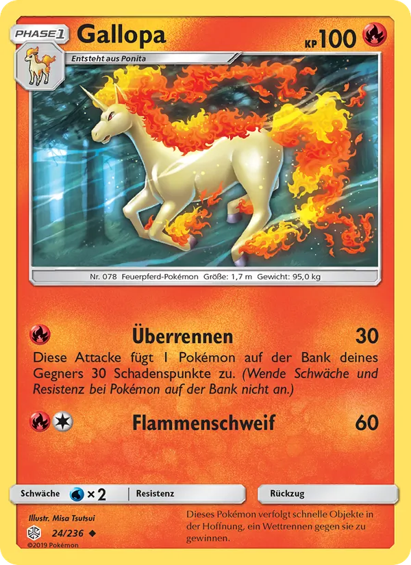 Gallopa 24/236