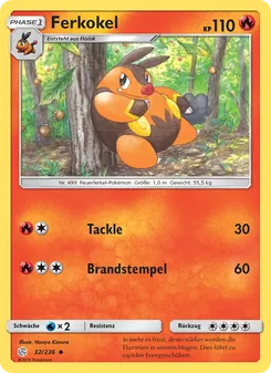 Ferkokel