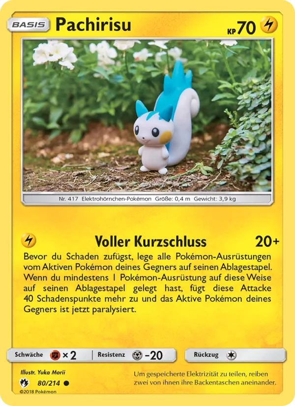 Pachirisu 80/214