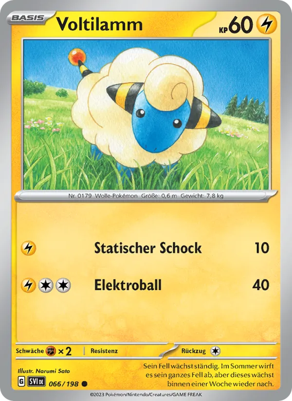 Voltilamm 066/198