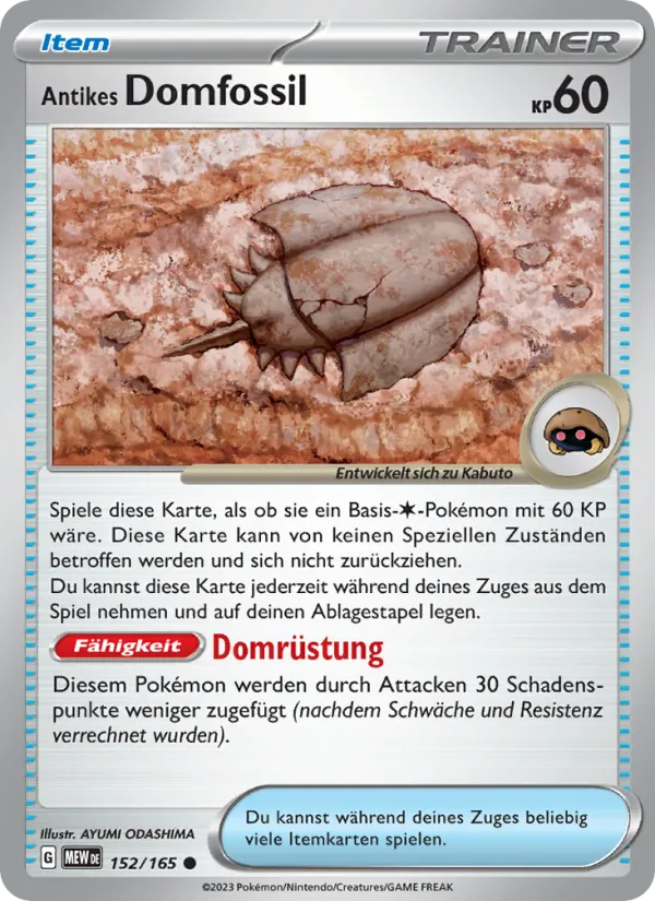 Antikes Domfossil 152/165
