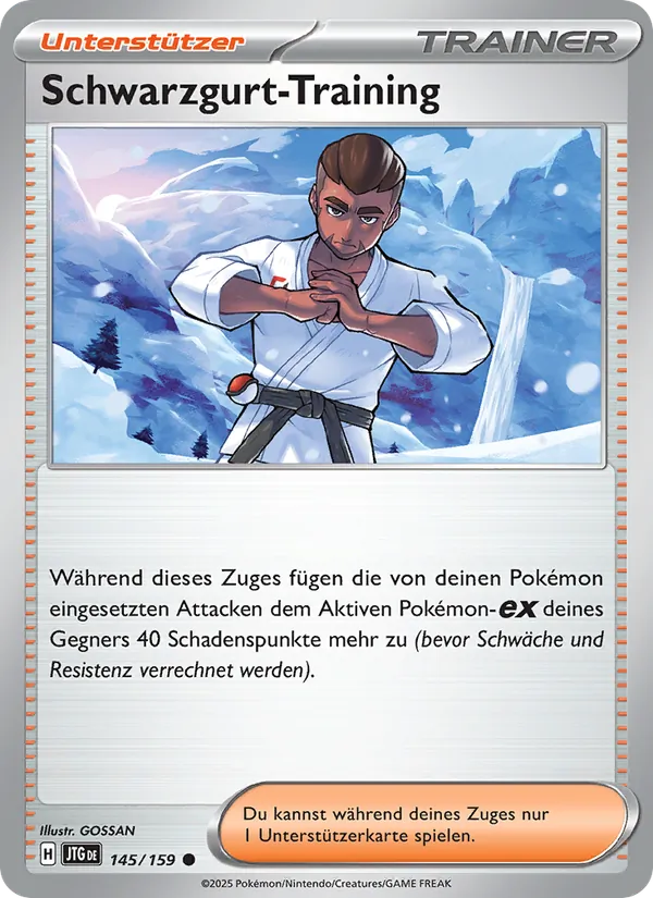 Schwarzgurt-Training 145/159