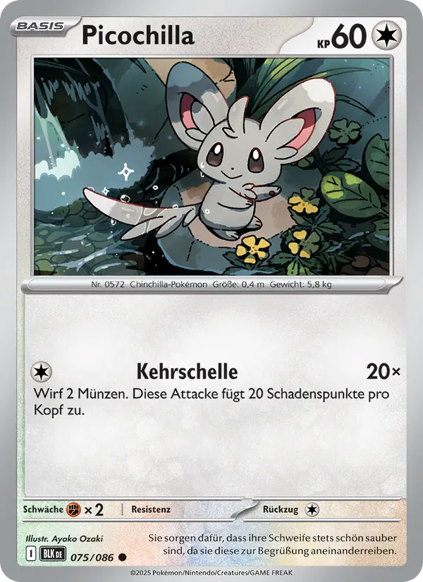 Picochilla 075/086