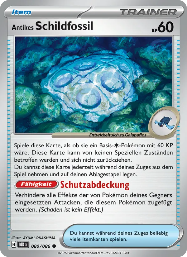 Antikes Schildfossil 080/086