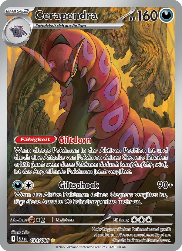 Cerapendra 134/086