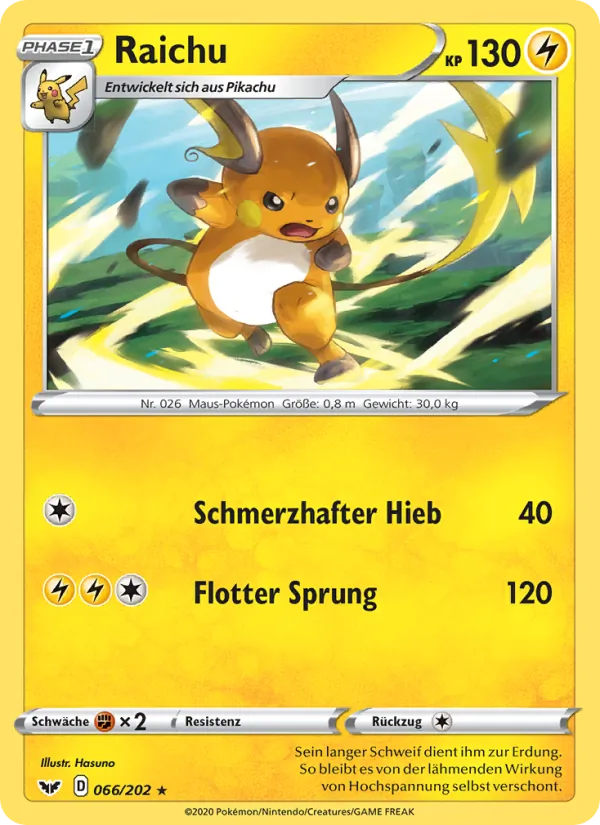 Raichu 66/202