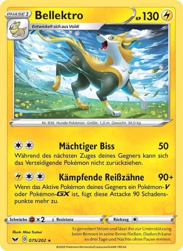 Bellektro 75/202