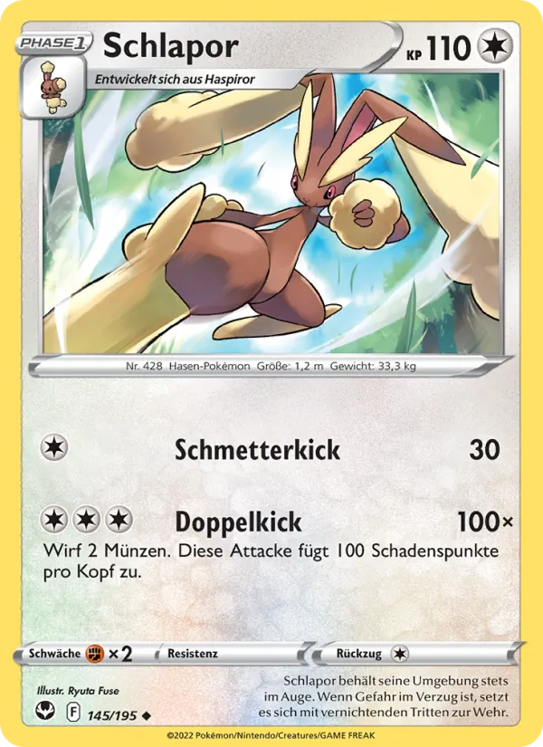 Schlapor 145/195