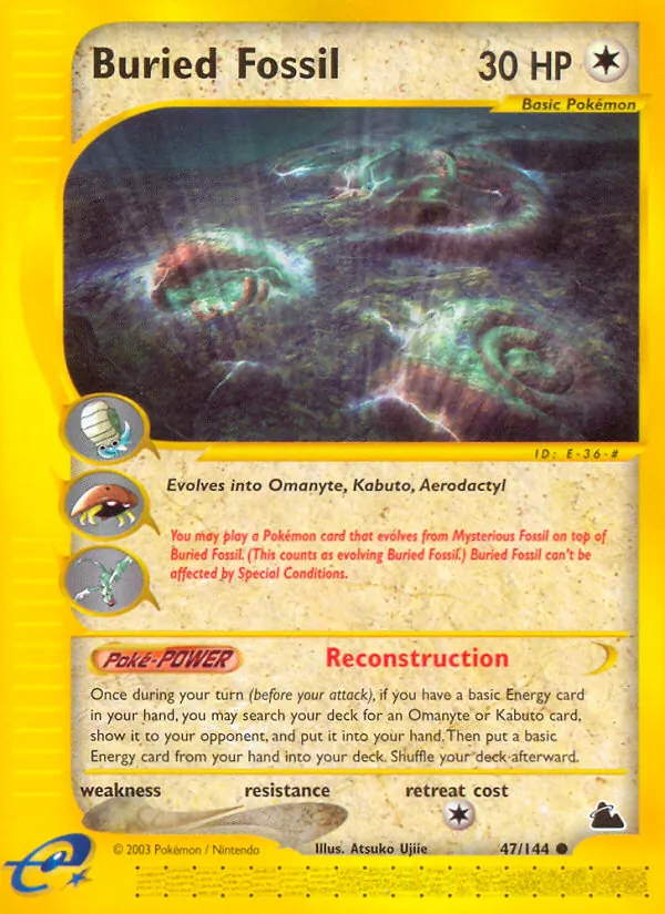Vergrabenes Fossil 47/144