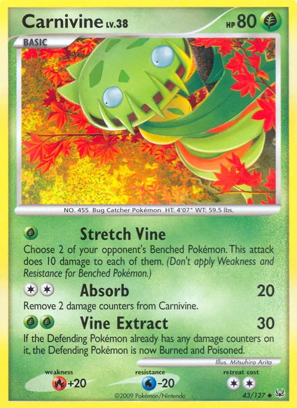 Venuflibis 43/127