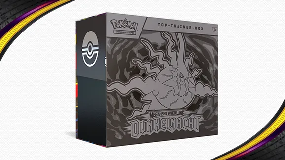 Top-Trainer-Box Dunkelnacht