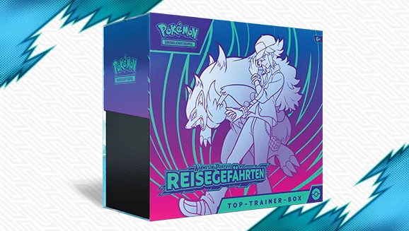 Top-Trainer-Box Reisegefährten