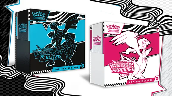 Top-Trainer-Box Schwarze Blitze